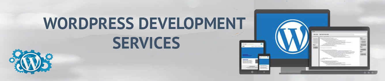 Wordpress Development Services USA